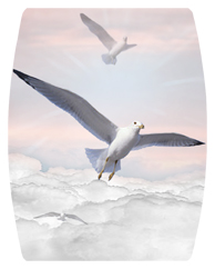 DAREC 101 PK Journey Home Clouds Birds Pink